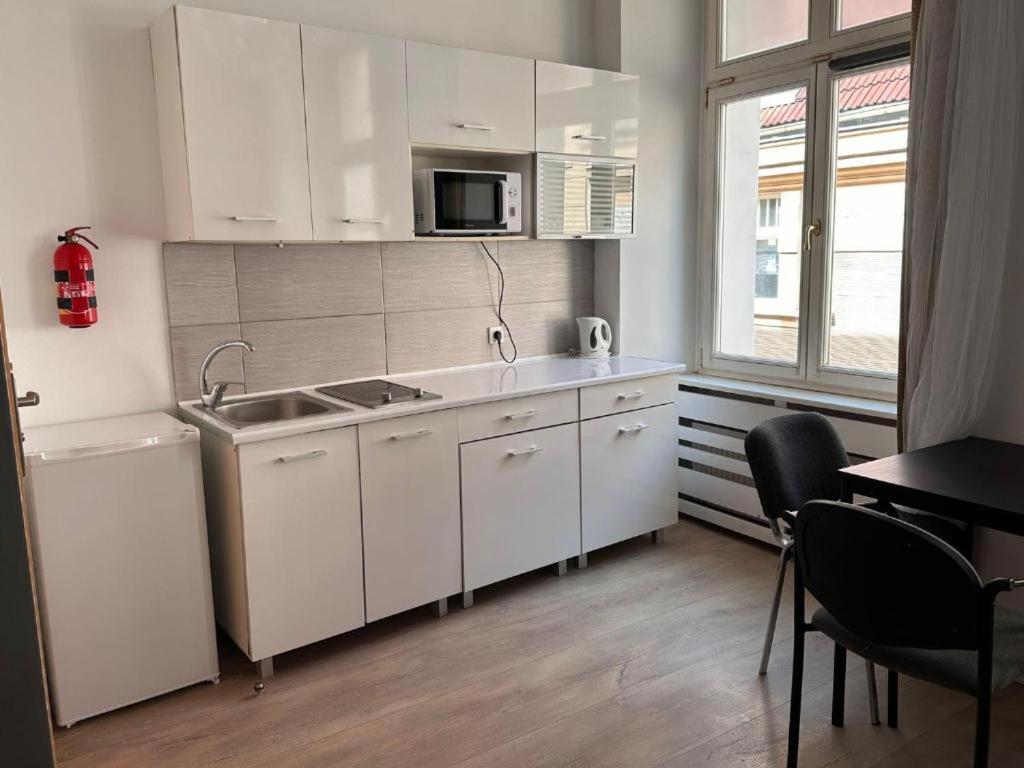 Golebia-genius Apartment Posen