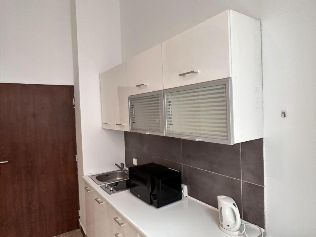 Golebia-genius Apartment Posen